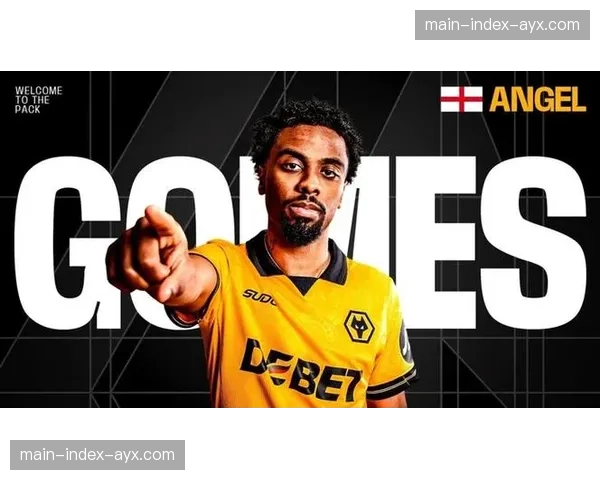 里尔核心中场安热尔-戈梅斯伤愈，体能报告显示其高强度跑动能力已恢复至100%