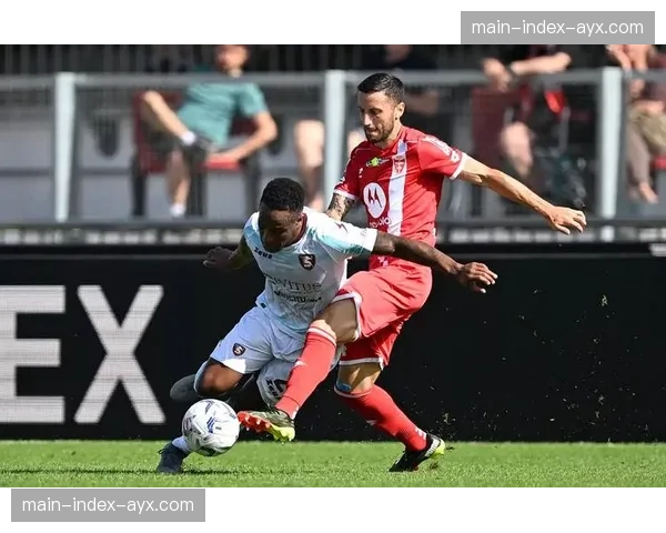 蒙扎对阵萨勒尼塔纳，场边首次出现为听障国际球迷提供手语解说的直播信号流